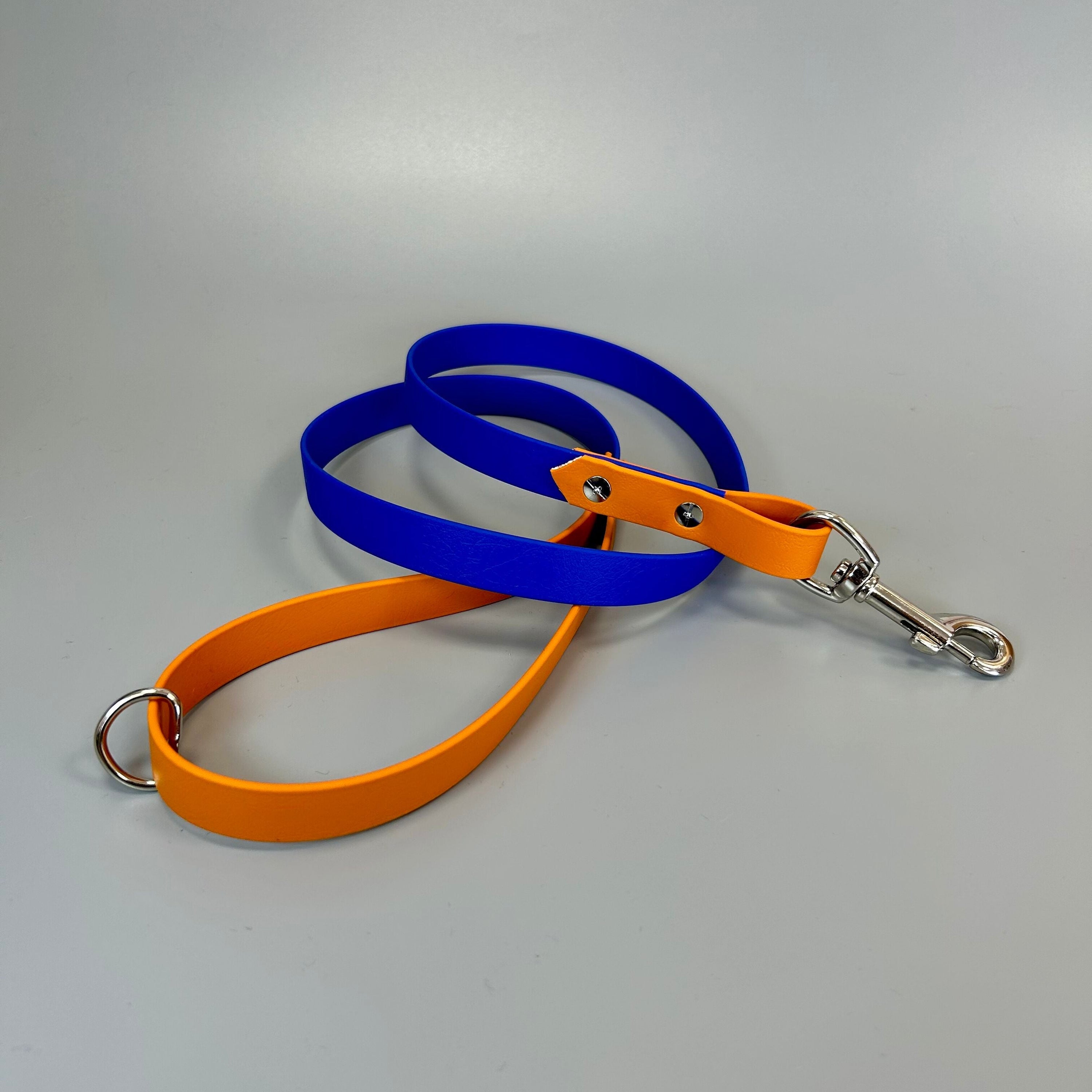 Main BioThane® Dog Leash image